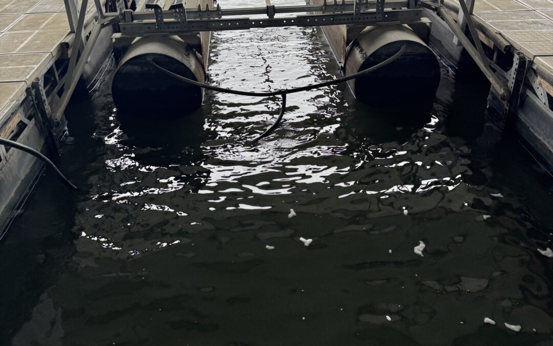 Dock 4R slip 14